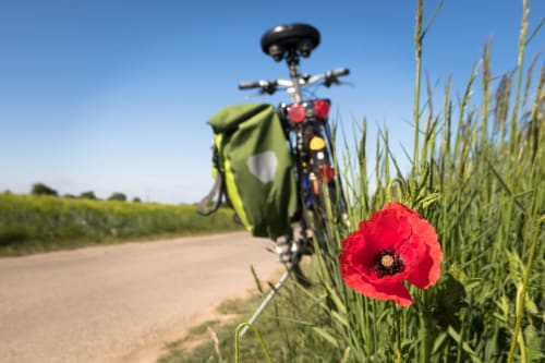 Bicycle with green pannier on rural road near Montfrin, red poppy flower in foreground