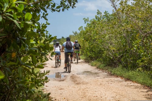 Mountain bikers riding through lush vegetation on a dirt trail near Le Prieuré Notre-Dame in Montfrin, France