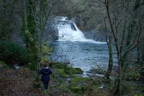 Persona de pie en un claro del bosque contemplando una cascada en Aldea Rural Santo André, Ourense España