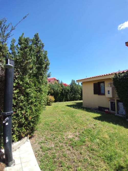 Garden view of Oasi Villetta Standard villa at Holidays San Teodoro with green lawn and hedges