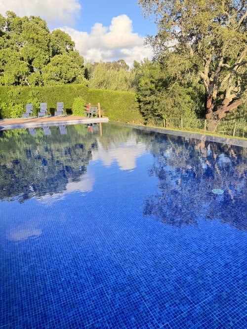 Piscina serena do hotel boutique T Monte em Porto Côvo, Portugal, com espreguiçadeiras e jardins exuberantes ao redor do azulejo azul