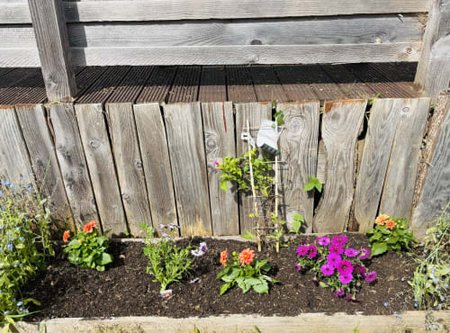 Colorful flower garden bed with pink, orange, and purple blooms against weathered wooden fence at Postwood Gardens Campsite