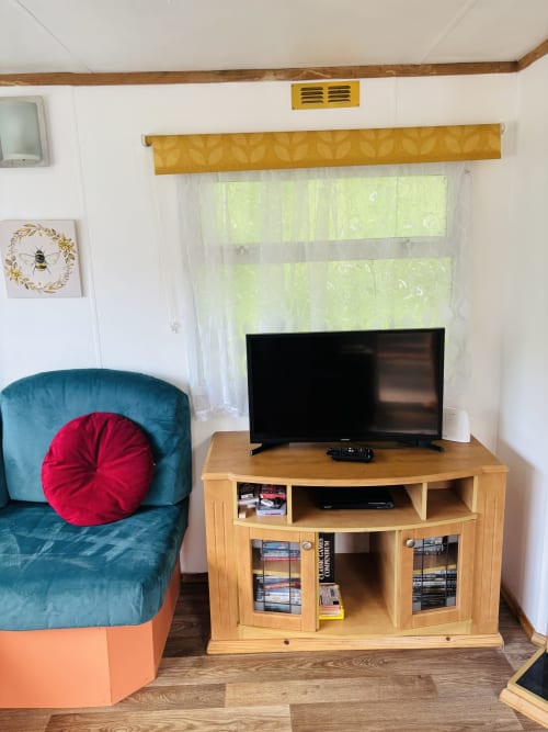 Cozy living area in Fox Country Cabin at Postwood Gardens Campsite with teal armchair, TV stand with DVDs, and garden views
