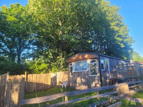 Owl Country Cabin at Postwood Gardens Campsite in Kentisbeare with wooden exterior, windows, and garden surrounded by lush