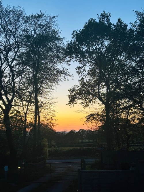 Sunset through tree-lined path at Postwood Gardens Campsite in Kentisbeare, with water reflection below