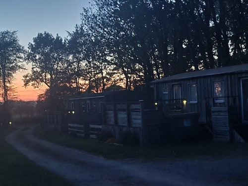 Postwood Gardens Campsite cabins at dusk with trees, Kentisbeare, rustic wooden accommodations illuminated at twilight