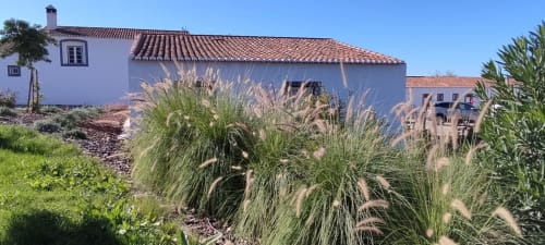 Monte da Morena countryside guesthouse in Serpa, Portugal with lavender gardens and traditional architecture