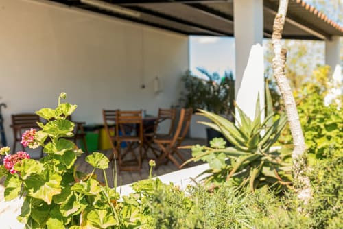 Lush garden with pink flowers at Monte da Morena guesthouse in Serpa, Portugal, featuring terrace seating area