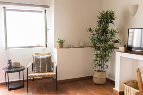 Bright living room in Portuguese apartment with bamboo plant, comfortable seating, and TV area overlooking garden at Monte Da