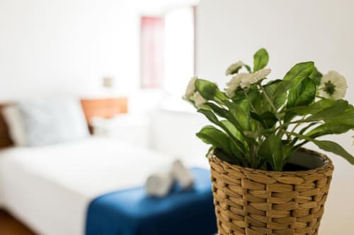 Potted flowering plant in woven basket on bedroom table at Monte Da Morena rural Portugal accommodation
