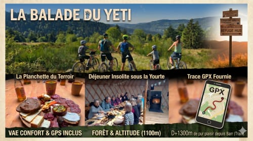 La Balade du Yeti : aventure VTT au Hohwald avec vues forêstières et hébergement en yourte