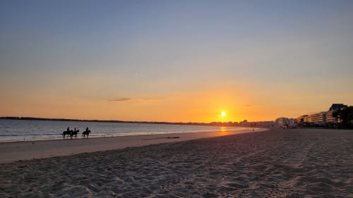Sunset at La Baule beach with horses wading in water, hotel buildings visible on right