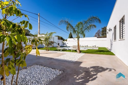 Villa blanca moderna con palmeras, patio y jardín cuidado en Barrosa Home, España, bajo cielo azul despejado