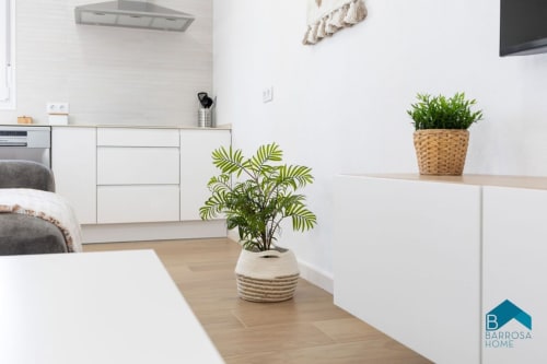 Apartamento estudio moderno en Barrosa Home con cocina blanca, plantas en macetas, piso de madera y mobiliario contemporáneo