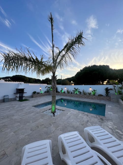Área de piscina del apartamento Barrosa Home al atardecer con palmera, tumbonas y piscina iluminada con vistas a las montañas