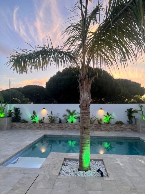 Patio del apartamento Barrosa Home al atardecer con palmera iluminada, piscina y muro blanco con iluminación verde