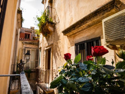 Rote Rosen in einer engen historischen Gasse von Syrakus, Sizilien, mit Terrakottagebäuden im Harmoni Guest House