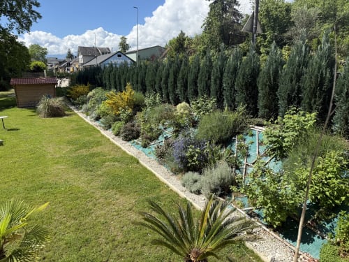 Jardin du Savoy Hôtel avec pelouse soignée, cyprès et bassin bleu au Bourget-du-Lac