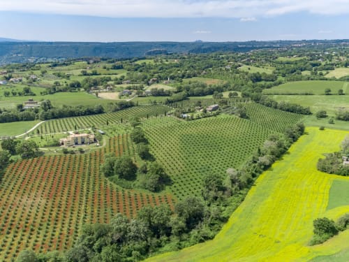 Vista aerea della tenuta Agriturismo Buriano a Lubriano, Italia con vigneti, uliveti e terreni agricoli