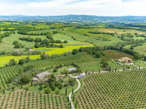 Vista aerea del casolare Agriturismo Buriano circondato da vigneti e dolci colline della Toscana, Italia