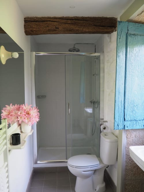 Banheiro moderno com duche, sanita e flores rosas na Quinta da Coutada, alojamento rural em Portugal