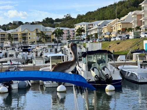 Marina harbor with white boats and blue sailboat at Horizon Doré hotel in Gourbeyre, Guadeloupe