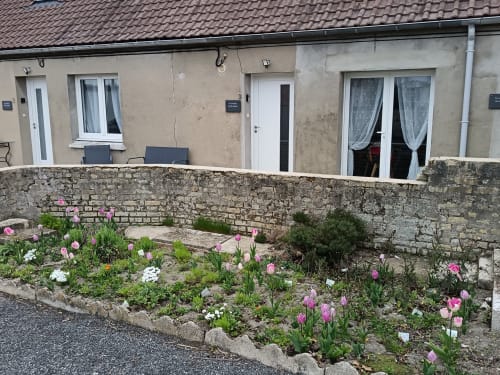 Jardin d'accueil des Meublés d'Hélène avec tulipes roses et fleurs blanches, mur en pierre, Oye-Plage