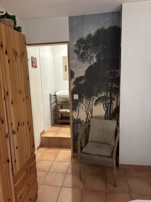 Appartement Eglantine à Anne De La Maison Blanche, Avignon - entrée avec penderie, accès salle de bain et fresque murale nature