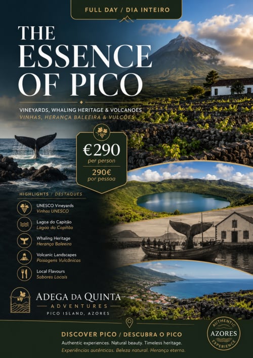 Pôster do tour 'A Essência de Pico' com vinhedos, observação de baleias, vulcões e hotel Adega da Quinta nos Açores