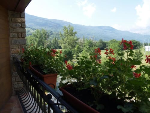 Terraza con flores rojas y vistas a la montaña en Hotel Llibrada, Benasque