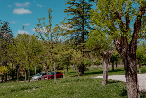Voitures garées sur l'allée bordée d'arbres de la villa Vila Cabanes 46, une propriété paisible de 2 hectares au Montat, Lot