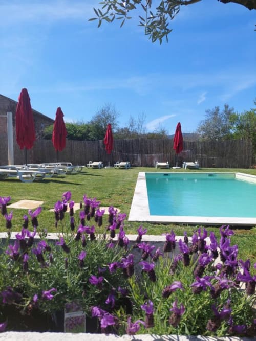 Área da piscina da SOTAM Country House em Góis com água turquesa, íris roxas, guarda-sóis vermelhos e espreguiçadeiras