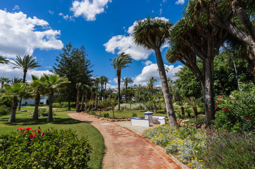 Lush garden pathway with palm trees and flowering plants at Marbella Home Rentals beachfront apartment in Puerto Banús
