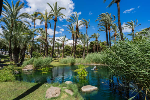Lush palm-lined garden with tranquil pond at Marbella Home Rentals beachfront apartment in Puerto Banús