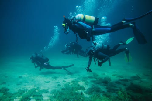 Grupo de buceadores explorando bajo el agua 