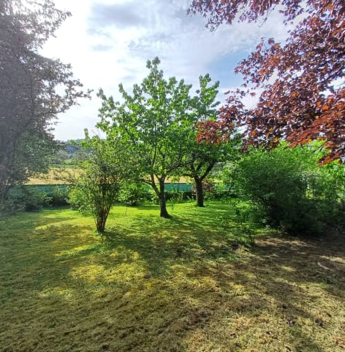 Jardin verdoyant des Gîtes de l'Impériale à Sermizelles avec arbres majestueux et feuillage éclatant