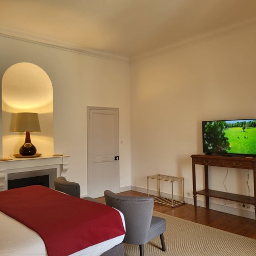 Chambre Chesnel au Logis des Tourelles à Cognac : lit confortable, télévision, cheminée et mobilier contemporain