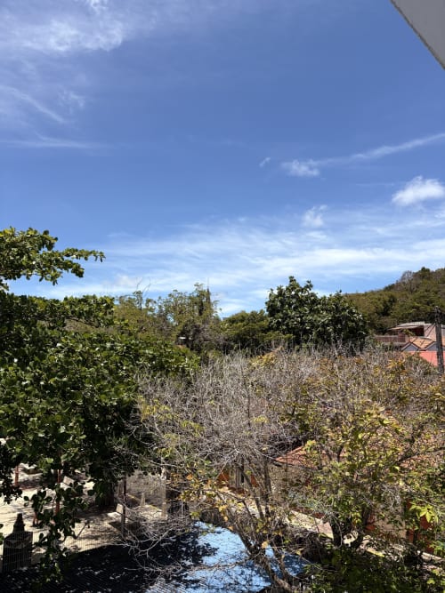Jardin tropical avec mangroves et bâtiments de l'hôtel La Dunette à Sainte-Anne, Martinique sous un ciel bleu