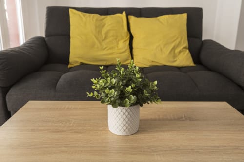 Sala de estar de estudio moderno con sofá gris oscuro, almohadas amarillas y mesa de madera con planta verde en maceta en Ab Be