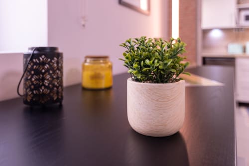 Planta verde em vaso de madeira sobre mesa escura no apartamento EcoHost, com lanterna decorativa e vela