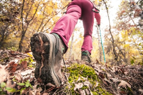 Hiker in pink jacket on autumn trail near Hôtel la Source, La Foux