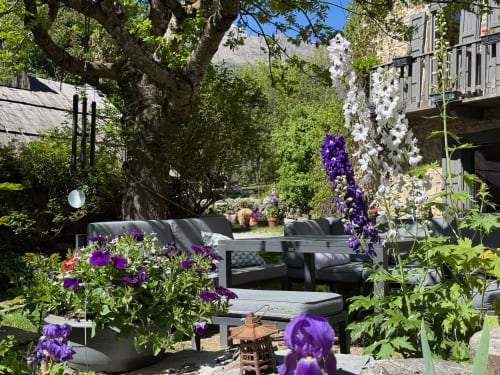 Cour de Maison d'Hôtes Les Méans avec iris violets, delphiniums blancs et coin détente sous un arbre centenaire