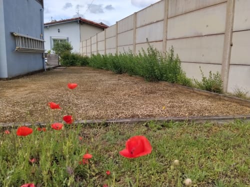 Red poppies blooming in garden at La Pause Landaise cottage in Magescq with gravel terrace and fence