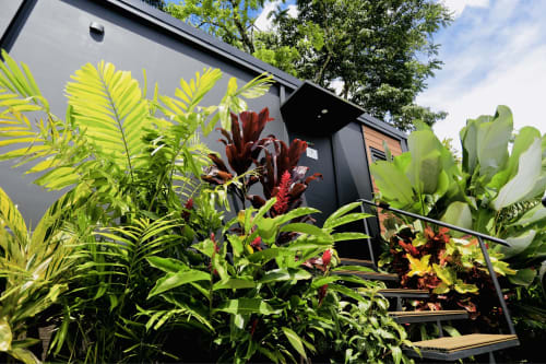 Moderno cuarto de hotel en contenedor negro con vista a jardín tropical, flores rojas vibrantes y frondosas plantas de palma en Costa Rica