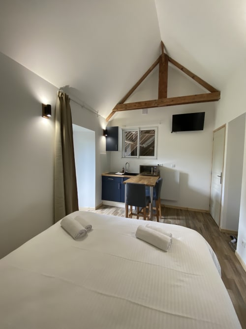 Modern studio cottage at Domaine des Piéris with bed, kitchenette, TV, and vaulted wooden ceiling