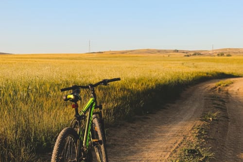 Green bicycle on dirt road beside golden grain fields near Peralada, Girona, Spain