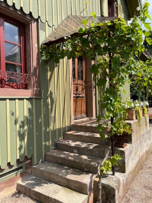 Entrée charmante du gîte La Maison Oubliée à Goetzenbruck, avec lierre grimpant et porte en bois