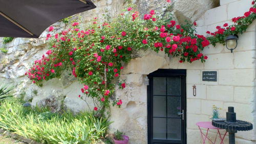 Entrée charme aux Troglos de Beaulieu avec bougainvillée rose vif en cascade au-dessus d'une porte noire