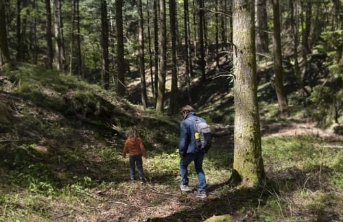 Due escursionisti che esplorano un sentiero nel bosco vicino a Mappamondi B&B a Venezia, Italia