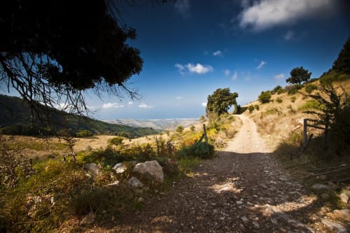 Sentiero di ghiaia panoramico tra le colline toscane vicino a Venezia, con paesaggio ondulato e cielo azzurro